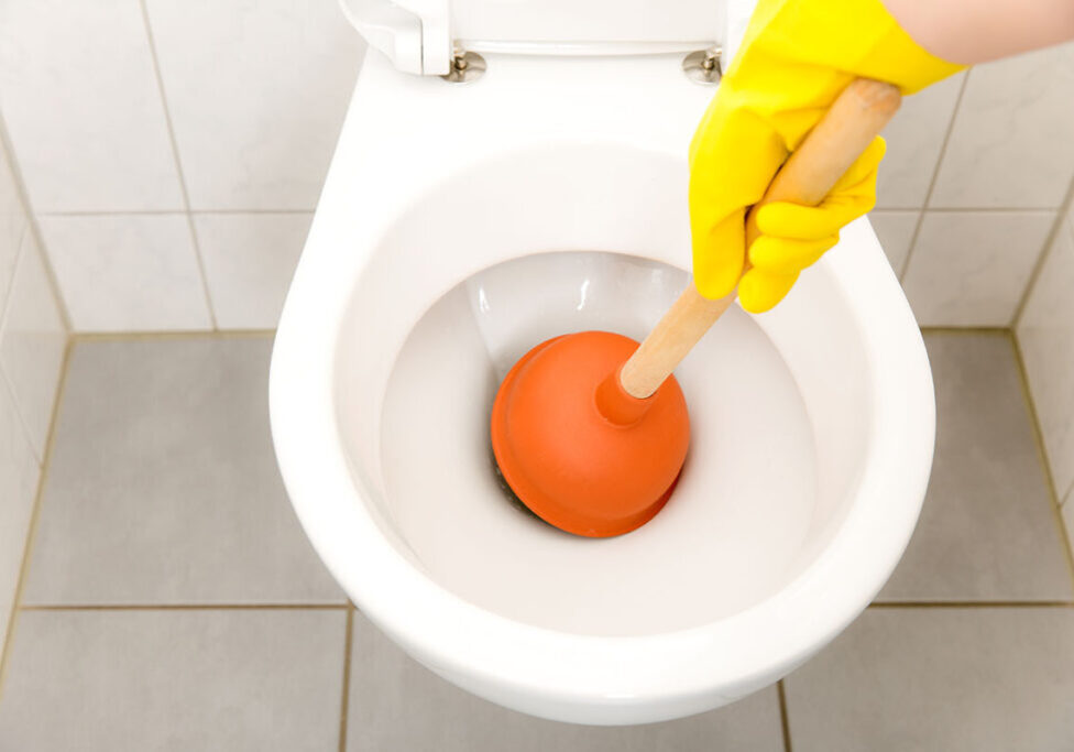 blog-how-to-avoid-a-blocked-toilet